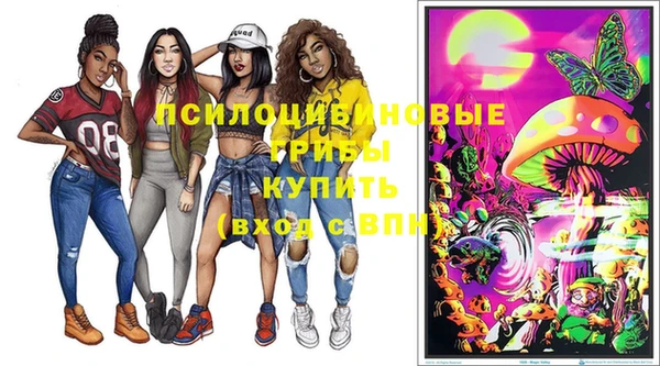 ПСИЛОЦИБИНОВЫЕ ГРИБЫ Арсеньев