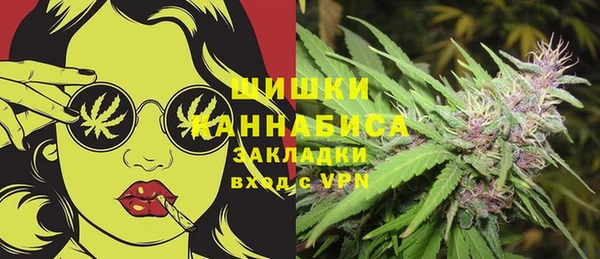 PSILOCYBIN Армянск