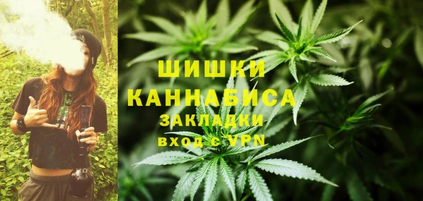 PSILOCYBIN Армянск